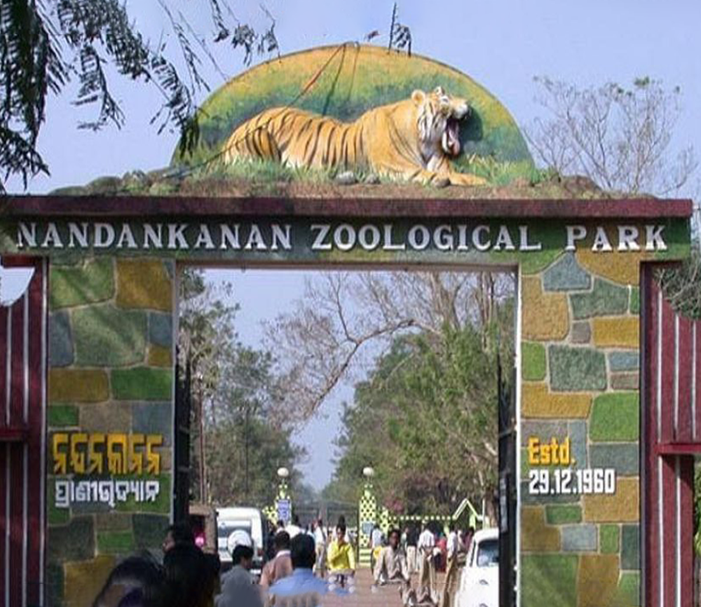 Nandankanan zoo png